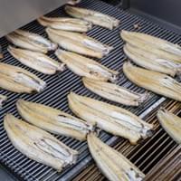 Frozen Roasted Eel Factory