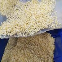 IQF Bamboo Shoot Factory