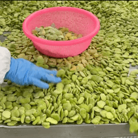 Frozen Peeled Broad Beans