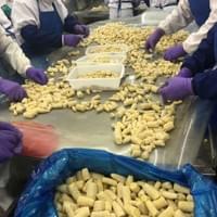 IQF frozen baby corn