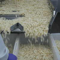 IQF Bamboo Shoot Production