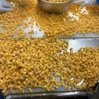 IQF Frozen Mango Supplier