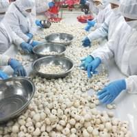 IQF Frozen Litchi Supplier
