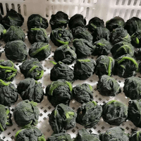 IQF Spinach Processing Line
