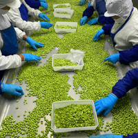 Frozen Shelled Green Soybeans 