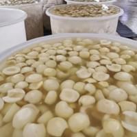 Frozen snow pears processing