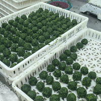 Frozen Spinach Production Line