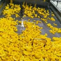 IQF Frozen Yellow Peaches
