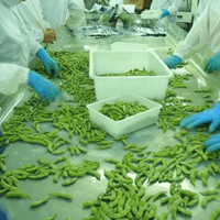 Frozen Edamame Production Line