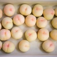 IQF White Peaches Supplier