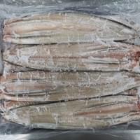 Butterflied Eel Supplier