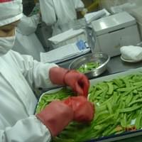 IQF Pea Pod Production Line