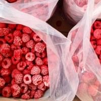 Bulk IQF Frozen Raspberries