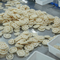 Frozen Lotus Root Processing