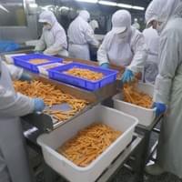 Frozen Sweet Potato Factory