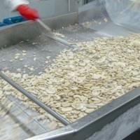 IQF White Button Mushrooms