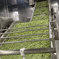 Wholesale Frozen Broad Beans 