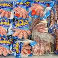 frozen boiled octopus tentacle