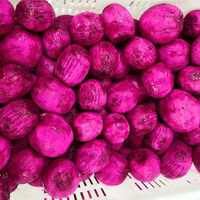 IQF Red Dragon Fruit Supplier