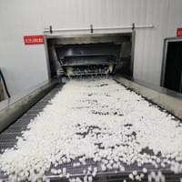 IQF snow pear production line