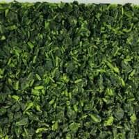 Frozen Spinach Supplier