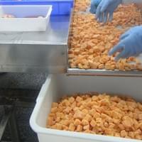 Frozen Sweet Potato Factory