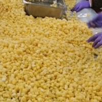 IQF Pineapple Production Line