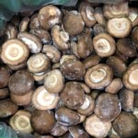 IQF Shiitake Mushroom Supplier