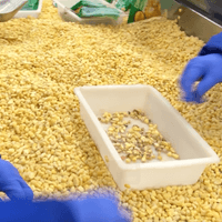 Frozen Sweet Corn Kernels Supp