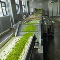 Frozen Shelled Green Soybeans