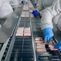 Frozen Imitation Crab Sticks