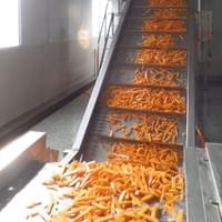 Frozen Sweet Potato Processing