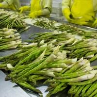 IQF Green Asparagus