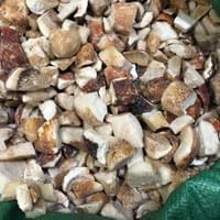 Frozen Boletus Edulis Factory