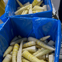 IQF Bamboo Shoot Processing