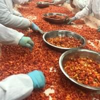 IQF Frozen Diced Red Peppers