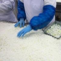 Frozen Onion Production Line