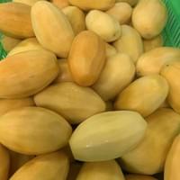 IQF Frozen Mango Factory