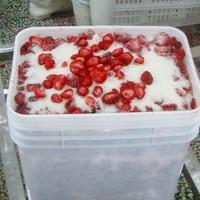 IQF Frozen Sliced Strawberry