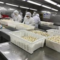 Frozen Taro Manufacturing
