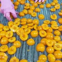 IQF Frozen Apricot Supplier
