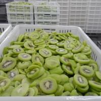 IQF Frozen Sliced Kiwi