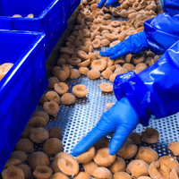 IQF Frozen Apricot Factory