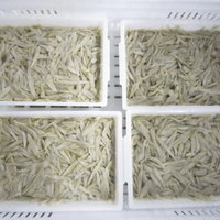 IQF Burdock Root Processing