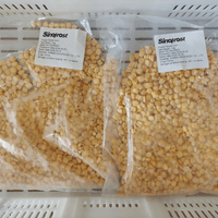 IQF Frozen Sweet Corn Samples
