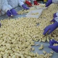 IQF frozen baby corn