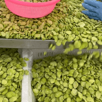 IQF Frozen Fava Beans 