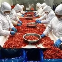IQF Frozen Red Sweet Peppers