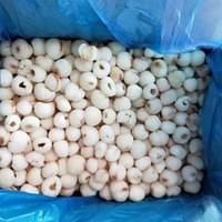IQF Frozen Lychee Factory