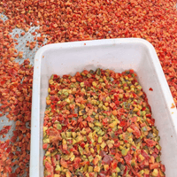 IQF Red Capsicums Grading
